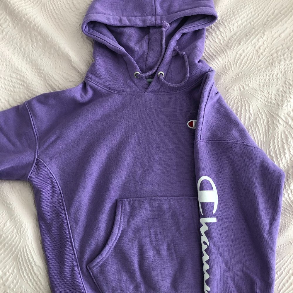 Champion Script Sleeve Hoodie Sweatshirt